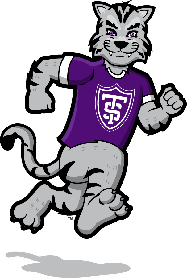 St. Thomas Tommies 2021-Pres Mascot Logo v7 diy DTF decal sticker